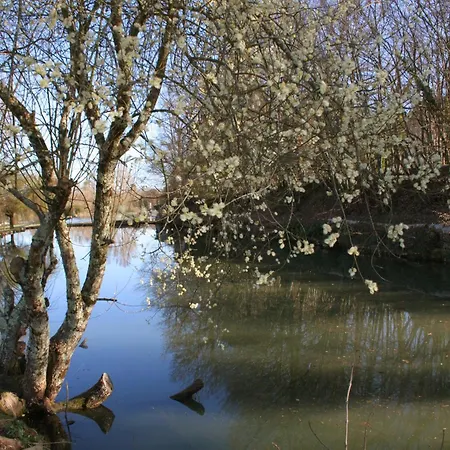 Chateau Latour Segur & ゲストハウス 3*