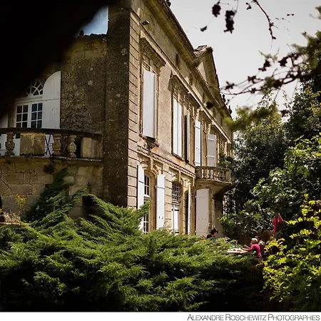 Chateau Latour Segur & Гостевой дом Lussac (Gironde)
